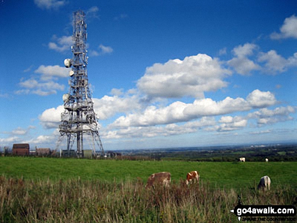 Communications Mast on the top of Hangingstone Hill (Eddisbury Hill)