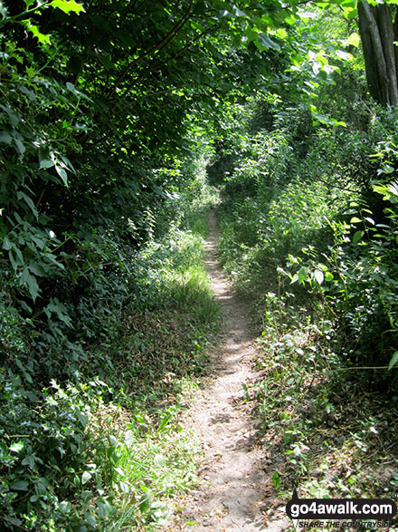 Walk ny277 Ana Cross from Hutton-le-Hole - The footpath by Hagg Wood near Lastingham