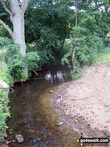 Walk ny201 Rudland Rigg and Farndale Nature Reserve from Low Mill - The River Dove near High Mill in Ferndale