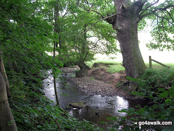 Walk ny201 Rudland Rigg and Farndale Nature Reserve from Low Mill - The River Dove in Ferndale Nature Reserve