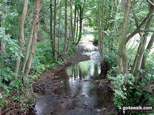 Walk ny201 Rudland Rigg and Farndale Nature Reserve from Low Mill - The River Dove in Ferndale Nature Reserve