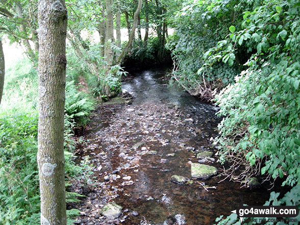 Walk ny201 Rudland Rigg and Farndale Nature Reserve from Low Mill - The River Dove in Ferndale Nature Reserve