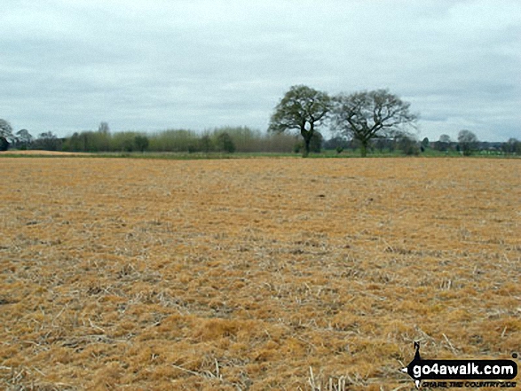 The Shropshire Countryside near Bentley Farm