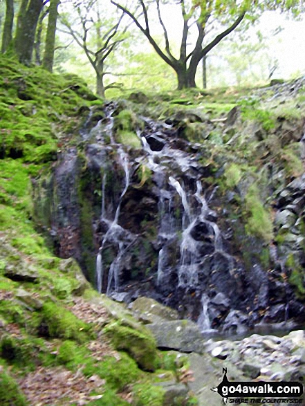 Walk c395 Glaramara, Allen Crags and Langstrath from Stonethwaite - Big Stanger Gill Waterfall