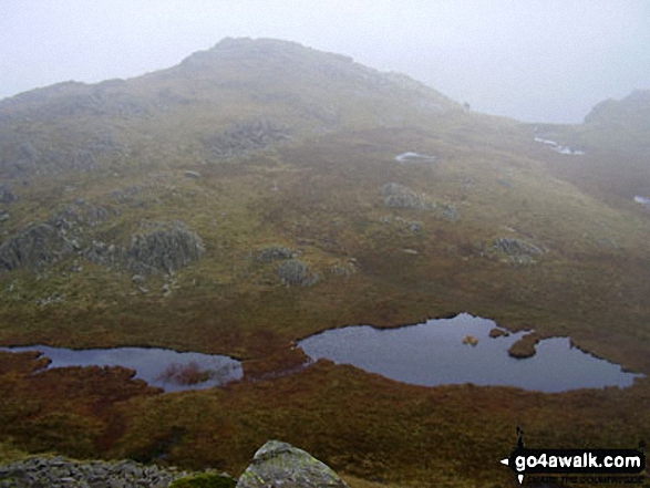 Walk c139 Allen Crags, Glaramara and Seathwaite Fell from Seatoller - Combe Door Top from Combe Head