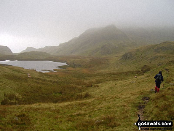 Walk c139 Allen Crags, Glaramara and Seathwaite Fell from Seatoller - Approaching Rosthwaite Cam (Rosthwaite Fell) and Tarn at Leaves from Rosthwaite Fell (Bessyboot)