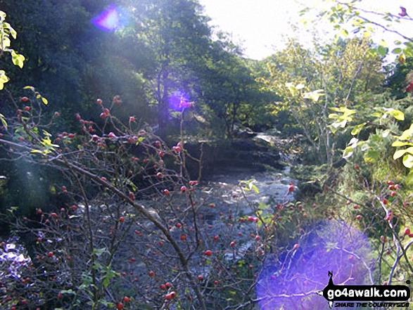 The River Wear in Weardale