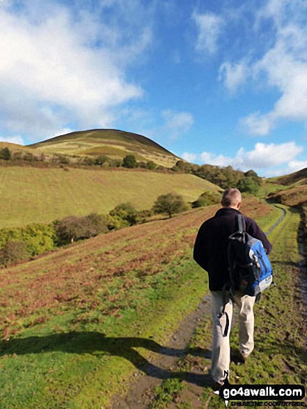 Walk fl119 Moel Arthur from Bwlch Arthur - On the way to Moel Arthur Hill fort