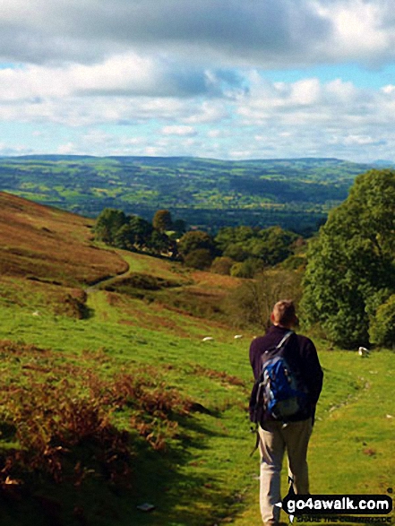 Walk fl119 Moel Arthur from Bwlch Arthur - Looking down over the Vale Of Clwyd from the lower slopes of Moel Arthur