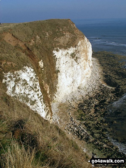 Walk ey112 Flamborough Head and North Landing from South Landing - Cliffs at Flamborough Head