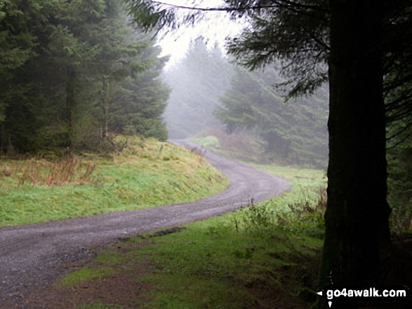 On the track down towards Holme Styles Reservoir near Holmfirth