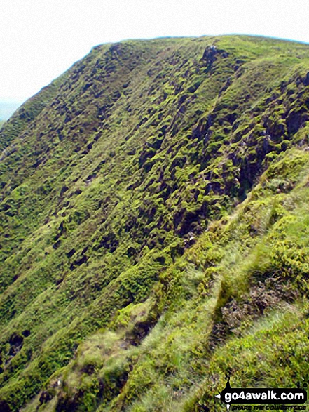 Cadair Berwyn