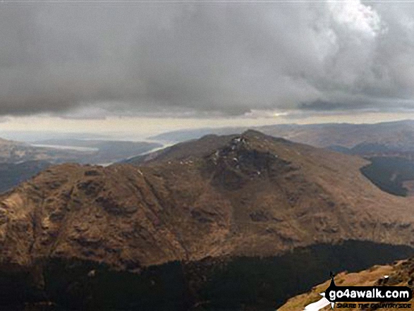 The Brack from The Cobbler (Ben Arthur)