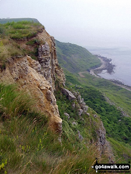 Walk do142 St Aldhelm's Head (St Alban's Head) from Worth Matravers - The South West Coast Path near St Aldhelm's Head (St Alban's Head)