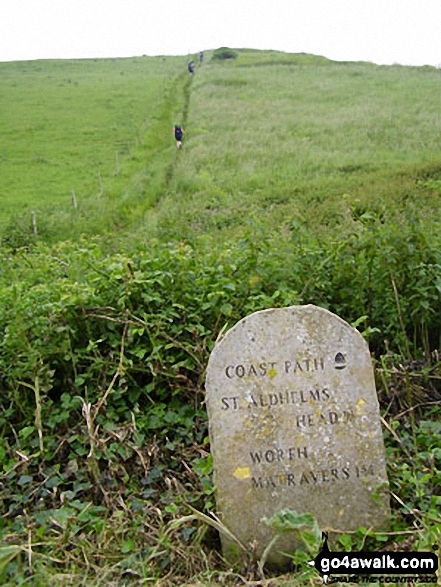 Walk do142 St Aldhelm's Head (St Alban's Head) from Worth Matravers - The South West Coast Path milepost near St Aldhelm's Head (St Alban's Head)