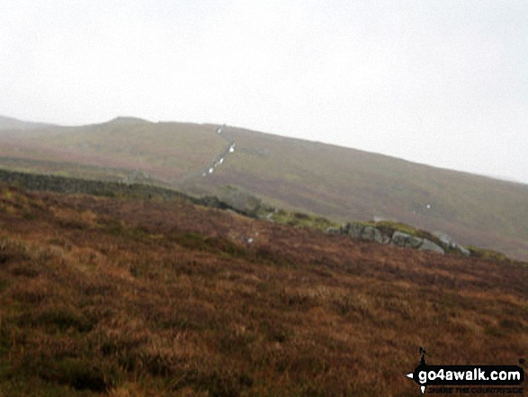 Walk l125 Whelp Stone Crag and Crutchenber Fell (Bowland Knotts) from Gisburn Forest - Bowland Knotts (Crutchenber Fell) from between Rock Cat Knott and Knotteranum