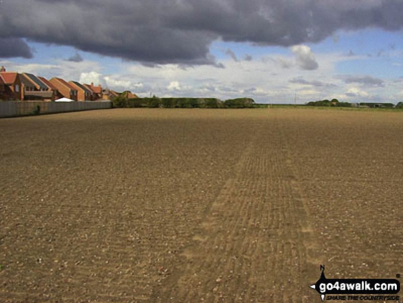 Public Footpath number 3, which runs from Fen Road to Walcott Road, Billinghay