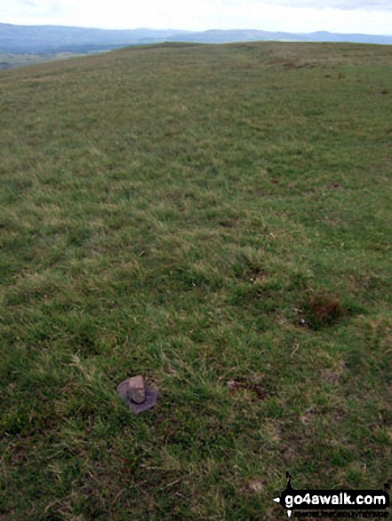 Walk po162 Fan Llia from Blaen Llia - The tiny cairn marking the true summit of Fan Llia