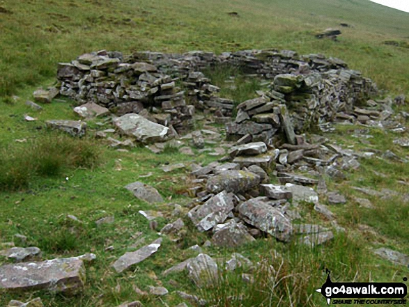 Sheepfold/ruin on Gorllwn onthe way to Fan Fawr