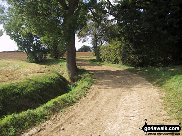 Country Track near Taverners Green