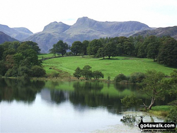 Walk c274 Loughrigg Fell from Elterwater - The Langdale Pikes from Loughrigg Tarn