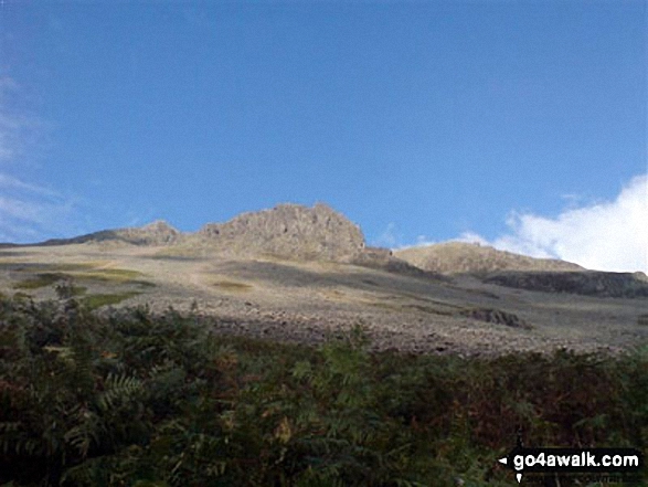 Walk c241 Great Gable and Honister Pass from Seatoller (Borrowdale) - The scree slope on the western slope of Great Gable