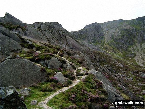 Approaching the summit of Carnedd Moel Siabod