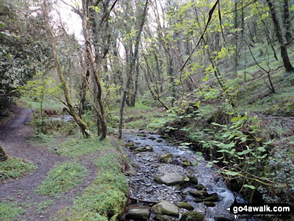 St Nectan's Glen