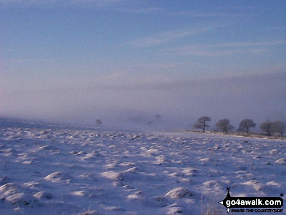 Lyme Park in Winter