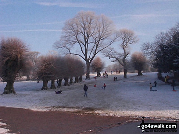 Walk ch269 A Stroll around Lyme Park Country Park - Lyme Park in Winter