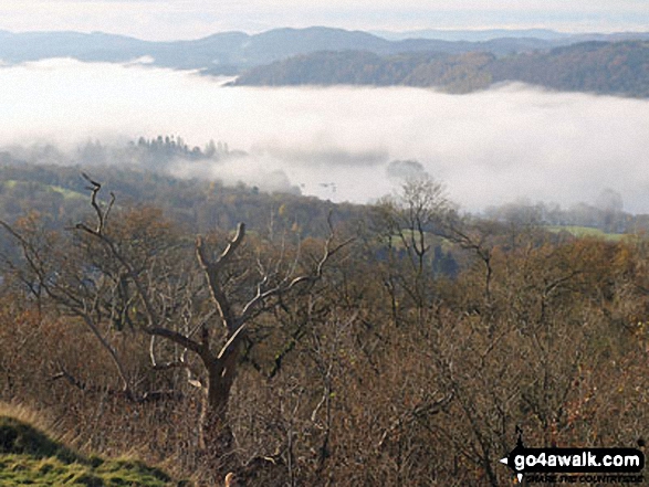 Windermere under a blanket of mist from Orrest Head