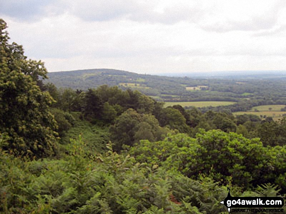 Leith Hill and the North Downs from the top of Holmbury Hill