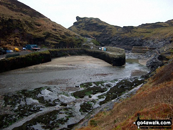 Walk co136 Minster Wood from Boscastle - Boscastle Harbour at low tide