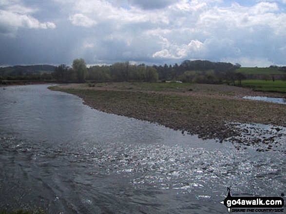 Walk mo113 The River Usk and Coed y Bwnydd from Clytha - The River Usk