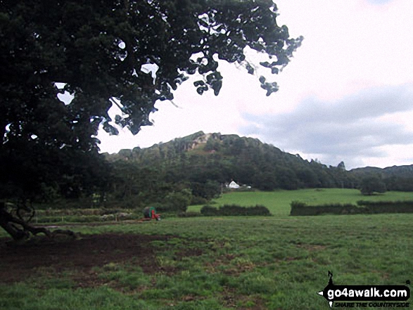 The Hill at Grinshill from Clive