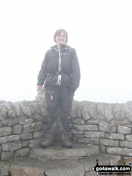 Walk ny333 The Yorkshire Three Peaks Challenge as a 3 day walk - Day 3 from Horton in Ribblesdale - Ingleborough summit shelter during the Yorkshire Three Peaks of Challenge Walk