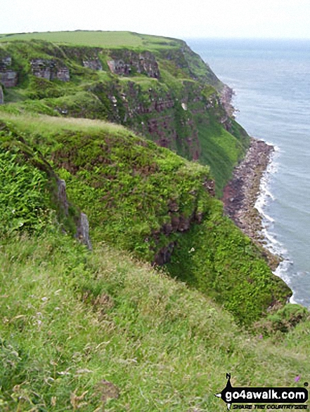 St Bees Head from North Head