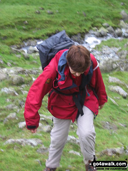 Walk c456 Fleetwith Pike, Hay Stacks, Brandreth and Grey Knotts from Honister Hause - Climbing up beside Loft Beck