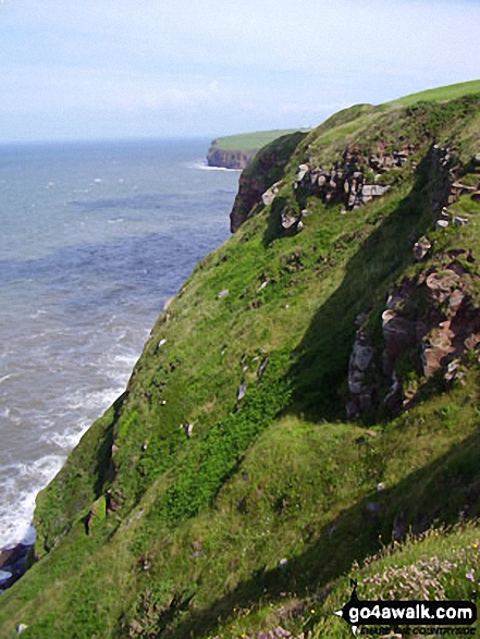 On South Head, St Bees