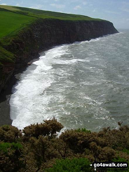 South Head from St Bees Head