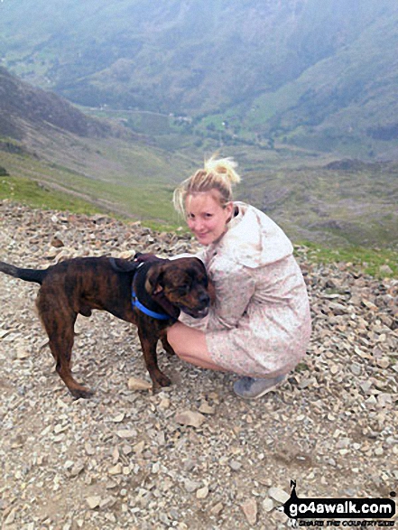 Walk gw158 Garnedd Ugain, Snowdon, Moel Cynghorion, Foel Gron and Moel Eilio from Llanberis - Me and my puppy Freddy, on the Llanberis Path near Halfway Station, half way up Snowdon (Yr Wyddfa)