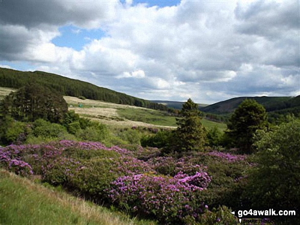 Walk po107 Y Gyrn, Corn Du and Pen y Fan from The Storey Arms Outdoor Centre - Neuadd Reservoir from Graig Fan Du