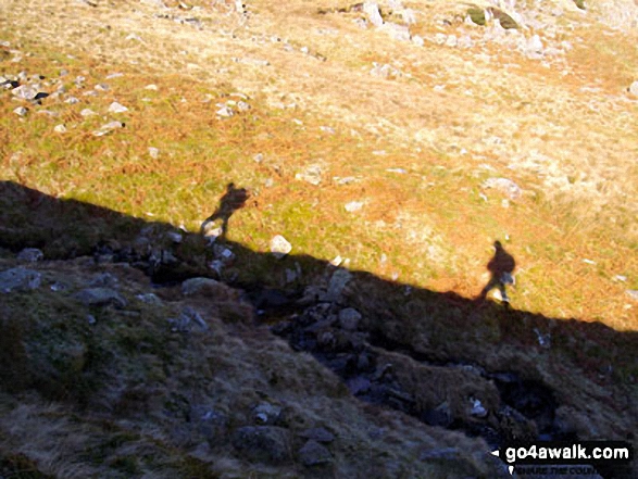 Walk c269 The Grisedale Horseshoe from Patterdale - Climbing Birkhouse Moor above Mires Beck