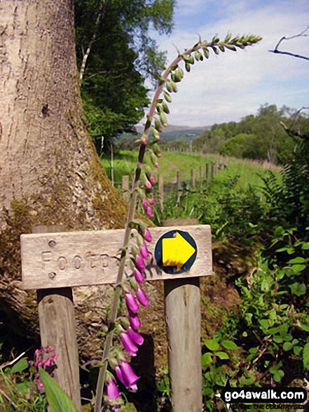 Footpath sign near Rusland