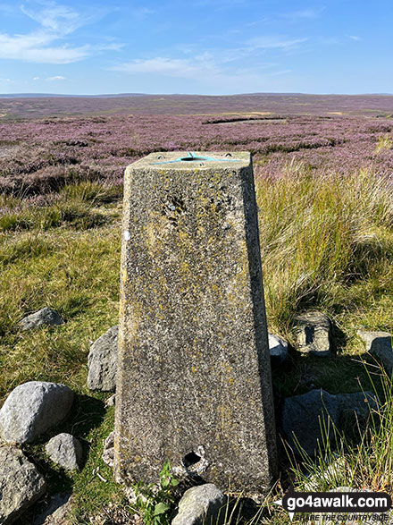 Walk Grey Carrs (Eggleston Moor) walking UK Mountains in The North Pennines  County Durham, England