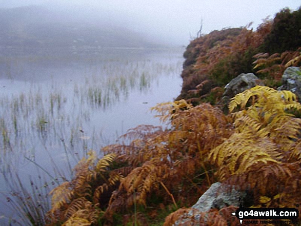 Walk c369 High Raise, Ullscarf and Grange Fell from Rosthwaite - Dock Tarn