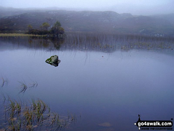 Dock Tarn