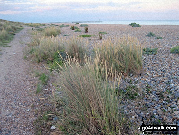 Walk ws141 Climping Beach from Atherington - Climping Beach