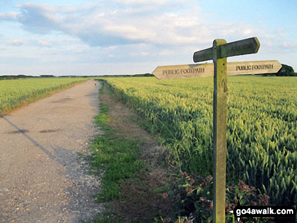 Walk ws141 Climping Beach from Atherington - Path Junction near Atherington