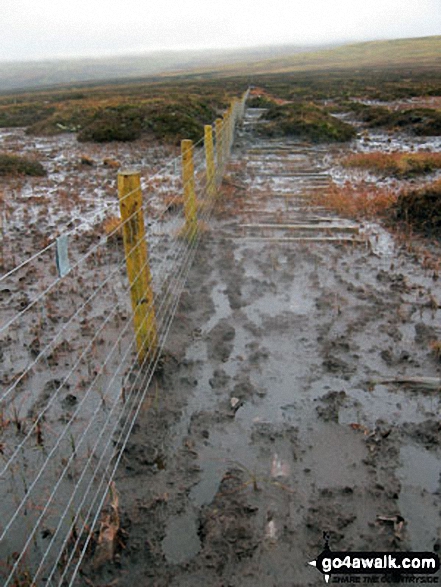 Deep bog at Crossgill Head on Crossgill Pants